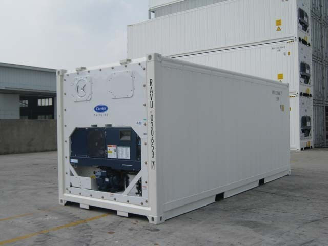 Container Frigorifique Reefer 20 Pieds Occasion